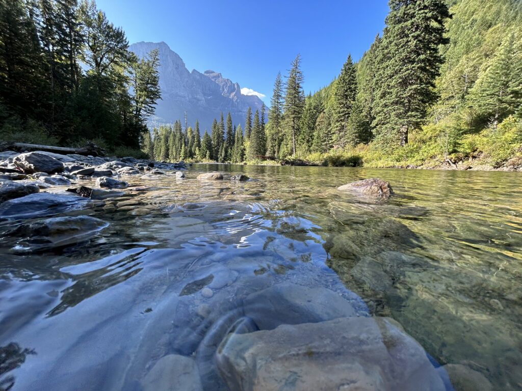 Flathead River- Glacier NP
