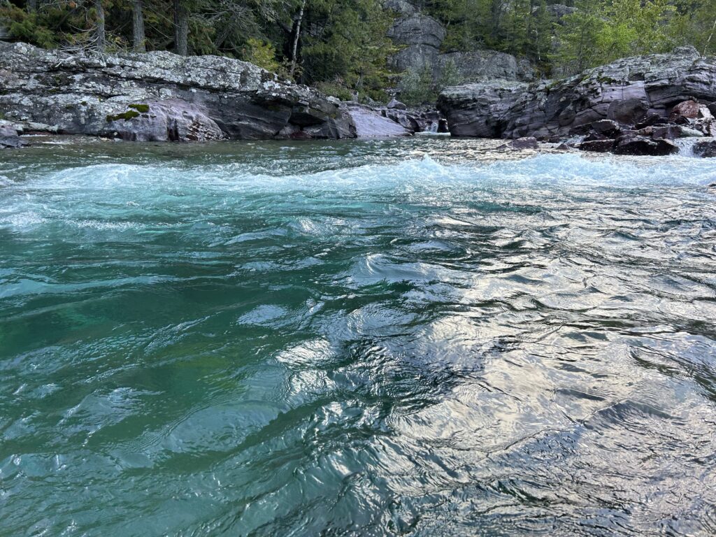 Flathead River – Glacier National Park